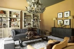 DINEEN, Coffee Table, Wood, Dark Brown -Boutique De Décoration https3A2F2Fwww.flamant.com2Fmedia2Fcatalog2Fproduct2F12F12F1136 14 03 2023T123A353A58