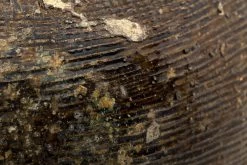 MORRISON, Pot, Ceramic, Model 1 -Boutique De Décoration https3A2F2Fwww.flamant.com2Fmedia2Fcatalog2Fproduct2F22F32F23978 14 03 2023T173A533A26