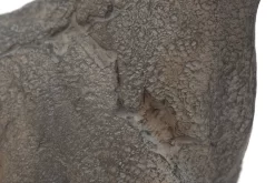 SPARKS, Horse -Boutique De Décoration https3A2F2Fwww.flamant.com2Fmedia2Fcatalog2Fproduct2F22F42F24424 14 03 2023T183A033A51