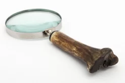 LAKE, Magnifying Glass, Bone/brass -Boutique De Décoration https3A2F2Fwww.flamant.com2Fmedia2Fcatalog2Fproduct2F22F82F28175 14 03 2023T203A153A44