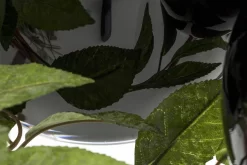 CHIAZ, Vase, Glass, Black -Boutique De Décoration https3A2F2Fwww.flamant.com2Fmedia2Fcatalog2Fproduct2F32F02F30386 14 03 2023T193A473A01