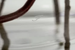 LEONIS, Vase, Glass, H25 -Boutique De Décoration https3A2F2Fwww.flamant.com2Fmedia2Fcatalog2Fproduct2F32F02F30462 14 03 2023T193A483A03