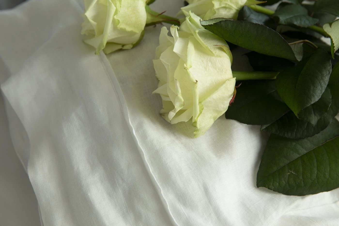 NIGHT, Pillowcase, Set Of 2, 50x70, White 2 NIGHT, Pillowcase, Set Of 2, 50x70, White – Image 2