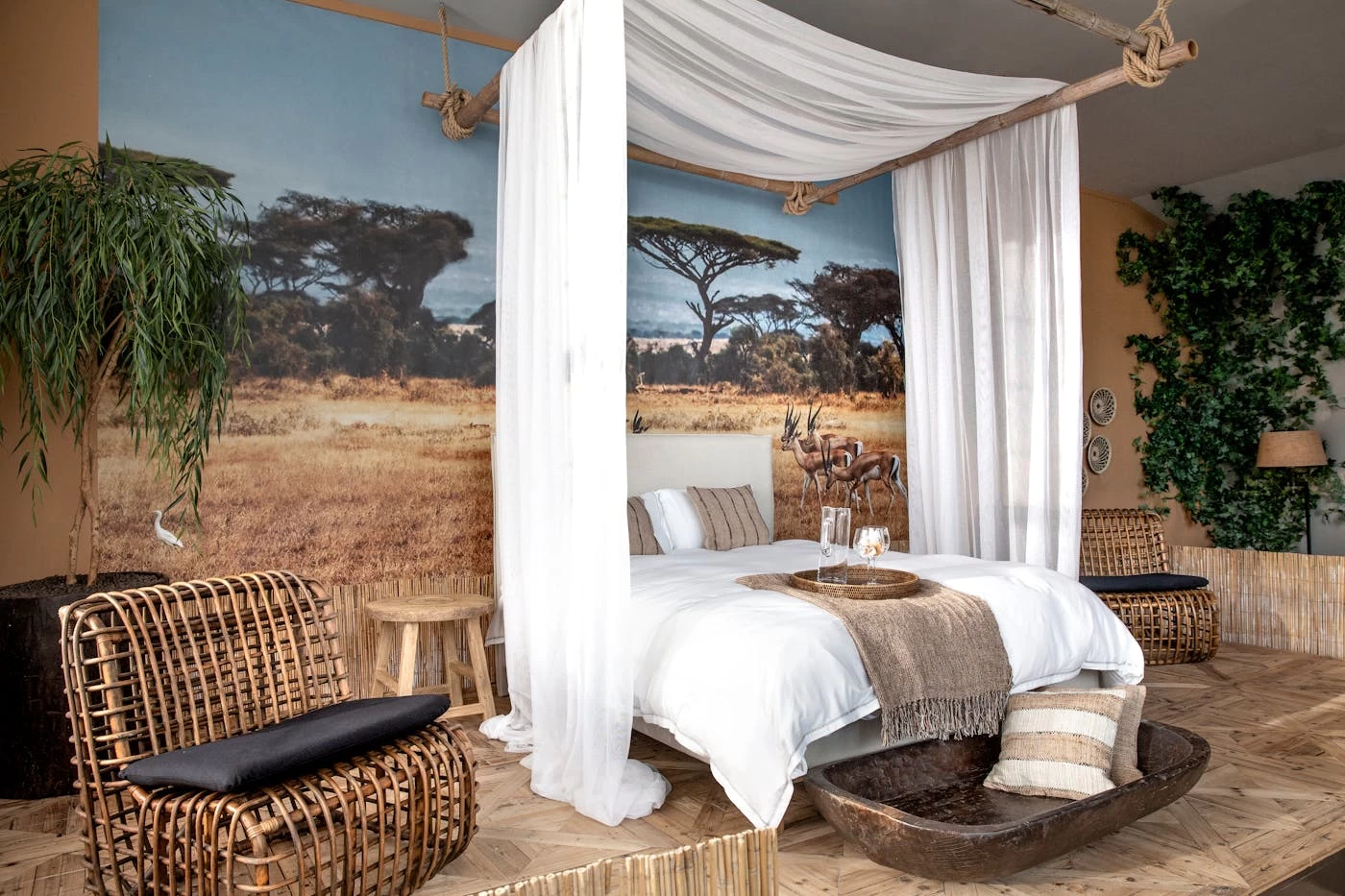 PAULINE, Garden Chair, With Cushion 2 PAULINE, Garden Chair, With Cushion – Image 2